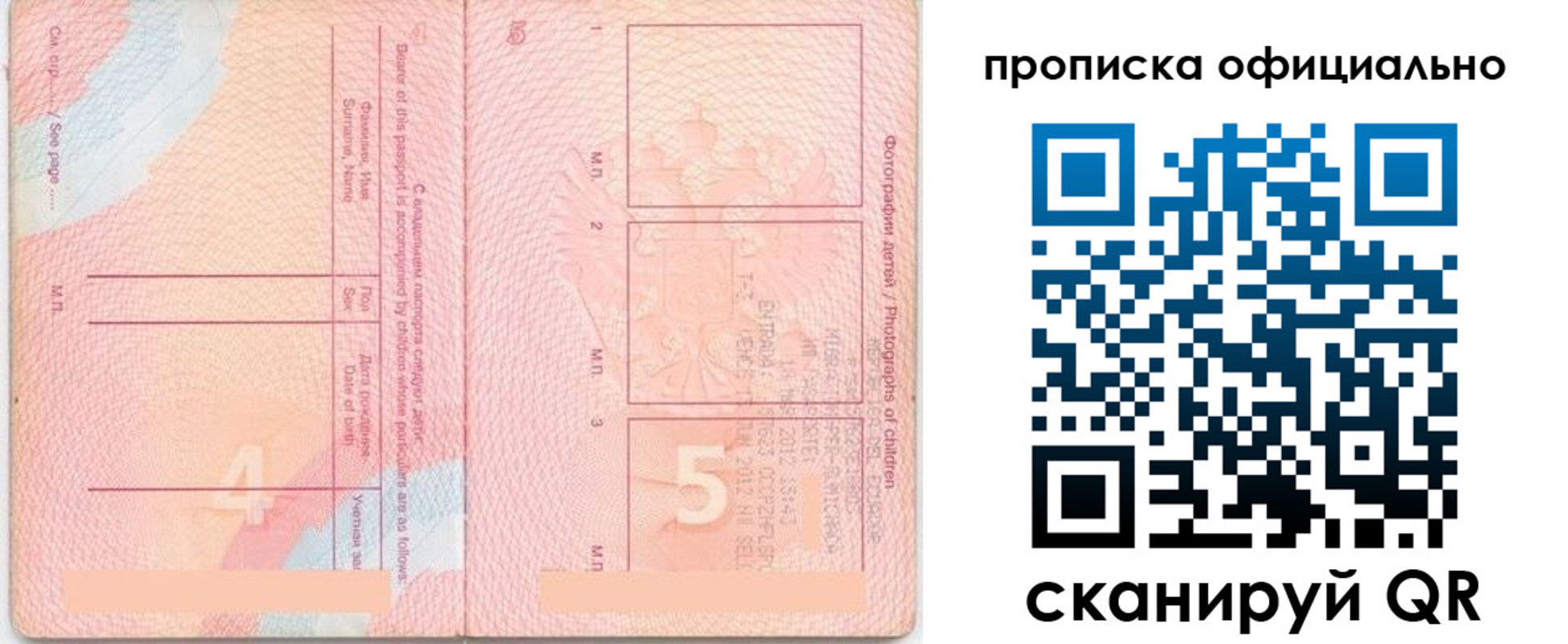 прописка для школы в Лосино-Петровском